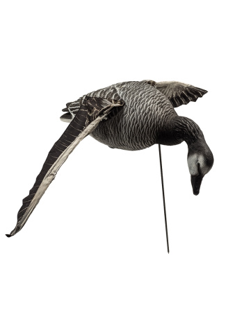 Казарка гусь, махокрыл кормящийся, съемная голова купить в интернет-магазине ХантингАрт