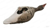 Комплект Greenhead Gear Pro-Grade FFD из 6 полнокорпусных муляжей Белолобого гуся (флок) купить в интернет-магазине ХантингАрт