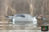 Шилохвость GHG Pro-Grade Pintails Waterfowl Decoys комплект из 6 шт купить в магазине Хантингарт