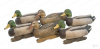 Комплект чучел уток кряквы GreenHead Gear Pro-Grade Mallards/Active Pack (4 селезня и 2 утки) купить в магазине Хантингарт