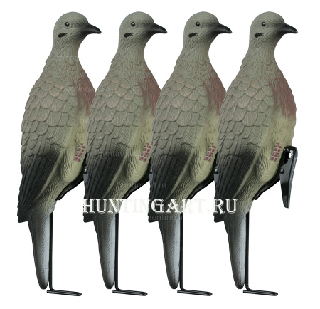 Чучела голубей (горлица) купить в интернет-магазине ХантингАрт