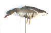 Комплект Art Specked Belly Goose из 10 сминаемых чучел Белолобого гуся (8 кормящихся + 2 сторожевых) купить в интернет-магазине ХантингАрт