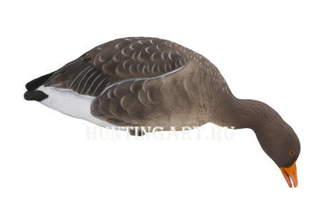 Комплект полнообъемных чучел FA HD fullbody Серого гуся (6 шт.) купить в интернет-магазине ХантингАрт