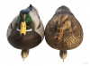 Подсадная утка кряква Flambeau Stormfront™ Classic Mallard комплект 6 шт (3 утки/3 селезня) купить в магазине Хантингарт