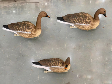 Плавающие чучела гуся Гуменника Floater Bean Goose (мягкий пластик), 6 шт в трех позах купить в интернет-магазине ХантингАрт