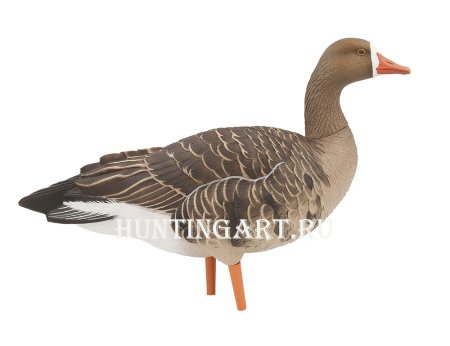 Комплект Avian-X из 6 полноразмерных чучел белолобого гуся с сумкой купить в интернет-магазине ХантингАрт