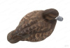 Комплект Avian-X Topflight Blue Bill из 6 полноразмерных чучел Морской чернети купить в магазине Хантингарт