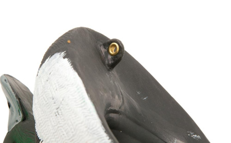 Сминаемое чучело Морская чернеть купить в магазине Хантингарт