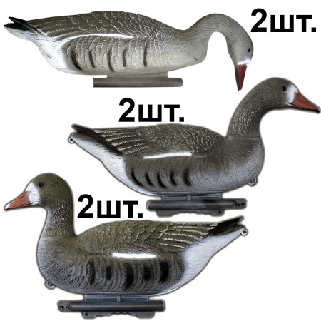 Комплект Sport Plast из 6 плавающих чучел Белолобого гуся купить в интернет-магазине ХантингАрт