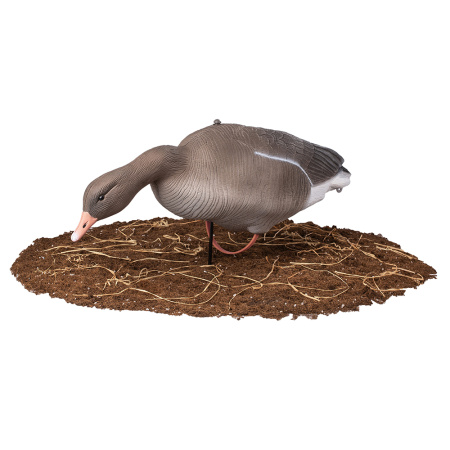 Комплект из 10 чучел Серого гуся серии Softplast North Way (2 активных / 8 кормящихся) купить в интернет-магазине ХантингАрт