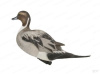 Шилохвость GHG Pro-Grade Pintails Waterfowl Decoys комплект из 6 шт купить в магазине Хантингарт