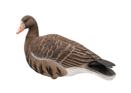 Белолобый гусь Avian-Mix Elite 3D, комплект 6шт купить в интернет-магазине ХантингАрт