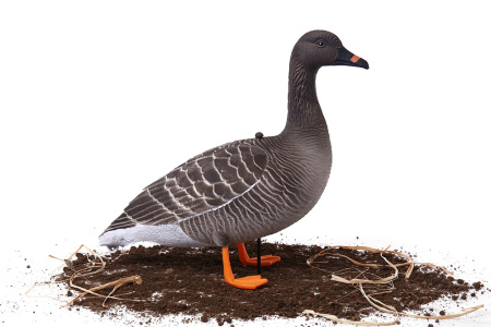 Комплект из 10 шт (6 кормящихся, 2 сторожевых, 2 отдыхающих) сминаемых чучел Гуменника Softplast 3D North Way купить в интернет-магазине ХантингАрт