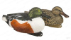 Комплект чучел утки Широконоска Shovelers Over-Size GreenHead (4 селезня, 2 утки) купить в магазине Хантингарт