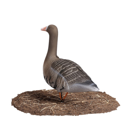 Комплект из 10 чучел Белолобого гуся North Way Живое перо S-XPE 3D (6 кормящихся+2 сторожевых+2 спящих) купить в интернет-магазине ХантингАрт