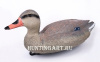 Чучело кряквы плавающей большое, Birdland купить в магазине Хантингарт