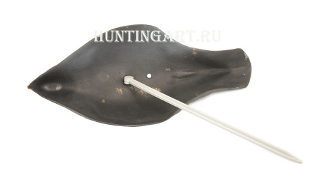 Чучела (скорлупки) лесного голубя купить в интернет-магазине ХантингАрт