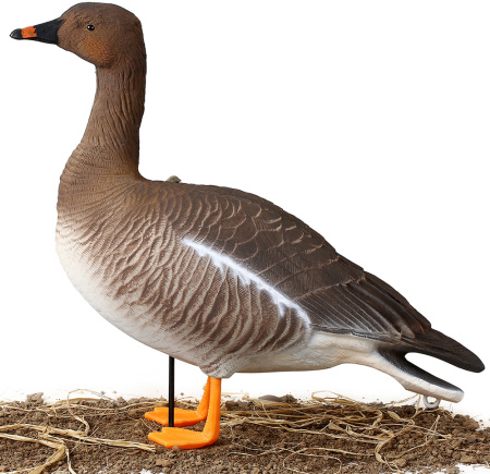 Комплект из 6 чучел гуся гуменника North Way Softplast Альфа (3 кормящихся,1 сторож,2 отдыхающих) купить в интернет-магазине ХантингАрт