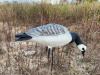 Казарка гусь Elite 3D Barnacles Goose, комплект 10 шт (8+2) мягкий пластик купить в интернет-магазине ХантингАрт