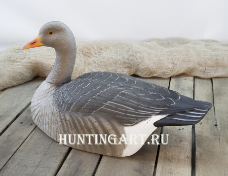 Картинка Комплект из 12 полукорпусных муляжей Серого гуся GreenHead от интернет-магазина ХантингАрт Комплект из 12 полукорпусных муляжей Серого гуся GreenHead купить в интернет-магазине ХантингАрт