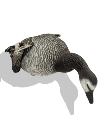 Казарка гусь, махокрыл кормящийся, съемная голова купить в интернет-магазине ХантингАрт