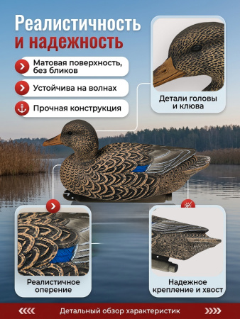 Чучело кряквой утки, комплект 6шт купить в магазине Хантингарт