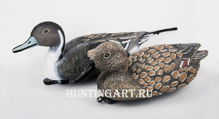 Чучело подсадное Шилохвости плавающей (утка/селезень) купить в магазине Хантингарт