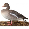 Чучела Серого гуся North Way Softplast Альфа, 6 штук (3 кормящихся,1 сторож,2 отдыхающих) купить в интернет-магазине ХантингАрт