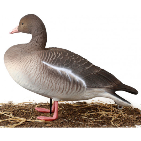 Чучела Серого гуся North Way Softplast Альфа, 6 штук (3 кормящихся,1 сторож,2 отдыхающих) купить в интернет-магазине ХантингАрт