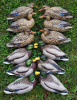 Комплект из 12 плавающих муляжей кряквы Avery GreenHead Gear Pro-Grade XD Series Mallards-Harvester (6 селезней и 6 уток) купить в магазине Хантингарт