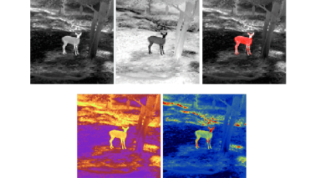Тепловизионный монокуляр TD430 купить в интернет-магазине ХантингАрт