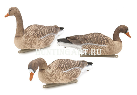 Плавающие чучела Белолобого гуся Floater Speckbelly Goose Oscar Decoys (мягкий пластик), 6 шт в трех позах купить в интернет-магазине ХантингАрт