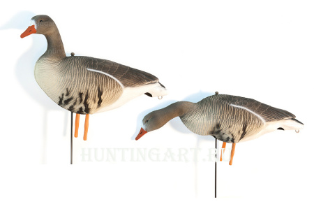 Комплект Art Specked Belly Goose из 10 сминаемых чучел Белолобого гуся (8 кормящихся + 2 сторожевых) купить в интернет-магазине ХантингАрт