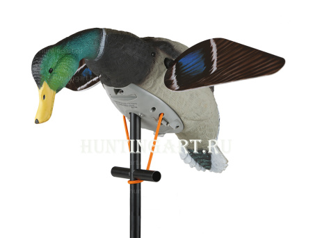 Чучело кряквы селезня с вращающимися крыльями Lucky HD (6B аккумулятор) купить в интерент-магазине Хантингарт